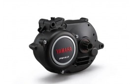 MOTOR YAMAHA PW-X2